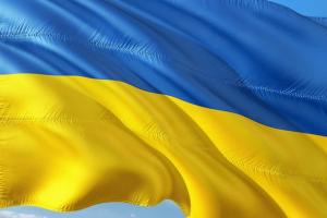 Ukraine Flag